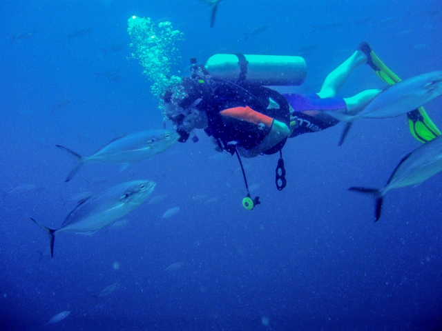 Buceo en Zihuatanejo