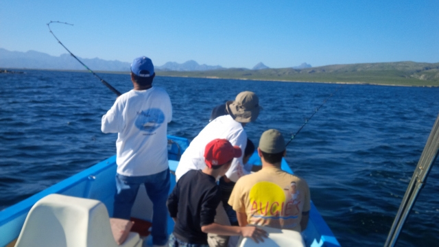 Dia de pesca 