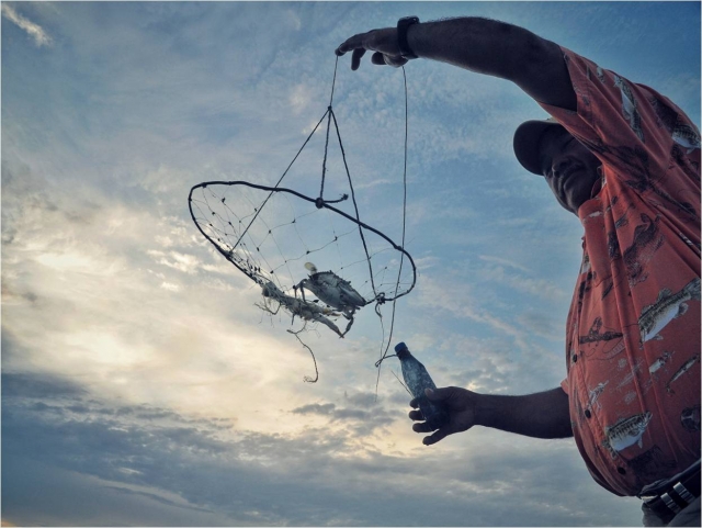 Pescando jaiba.jpg