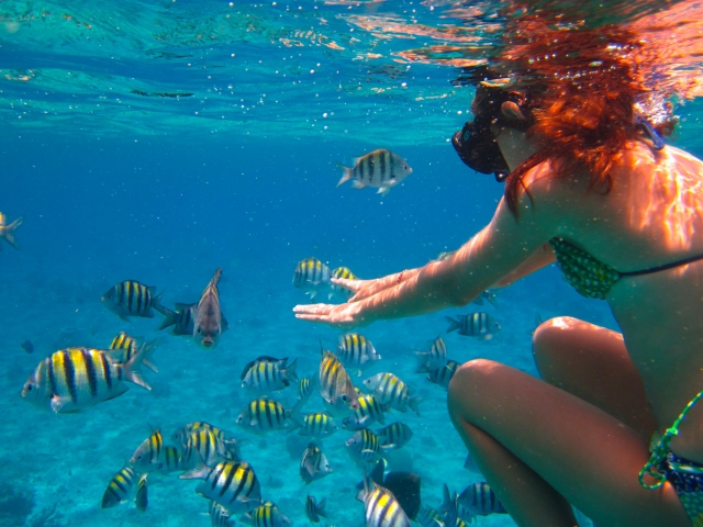 Snorkeling en Cozumel
