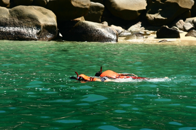 Snorkel tour 