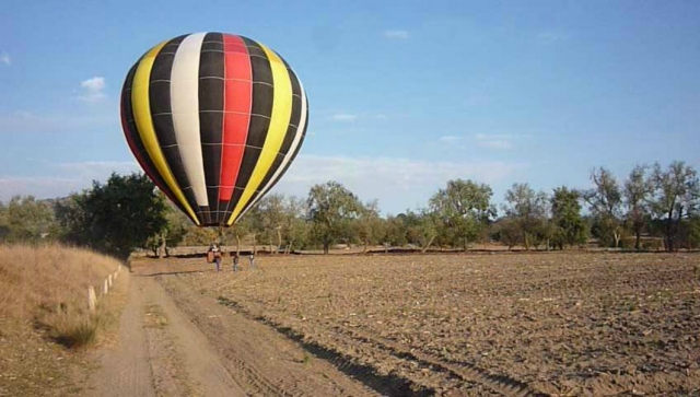 en mitad del campo
