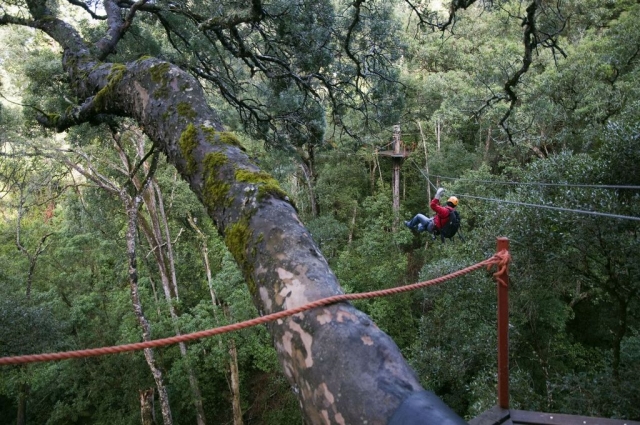  Divertirsi sulla zip line 