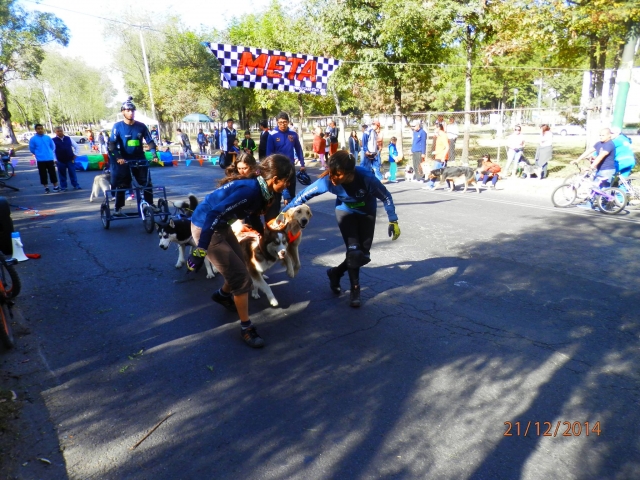  Pratica di mushing 