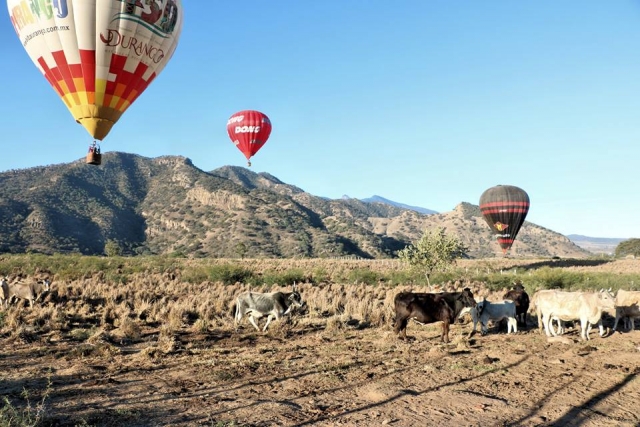 Disfruta de un vuelo en globo 