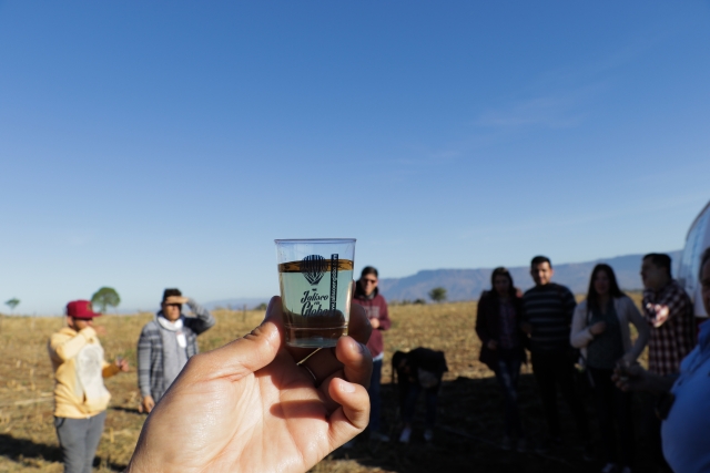 Brindis y ceremonia de vuelo.
