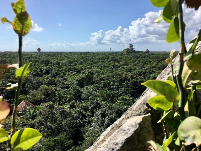  Get to know the jungle of Cancun 