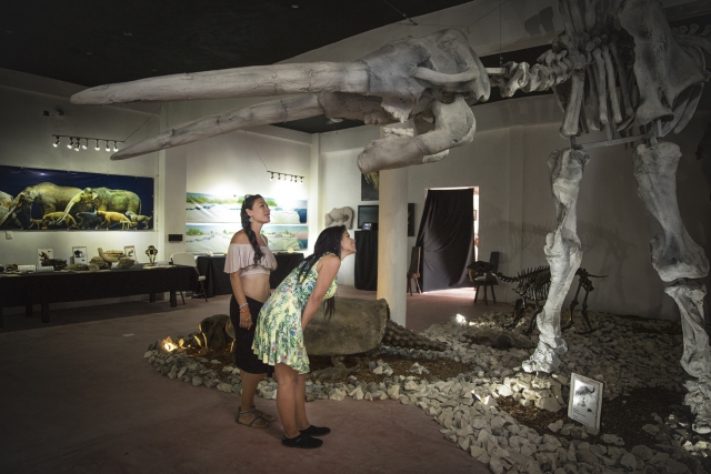  Museu 