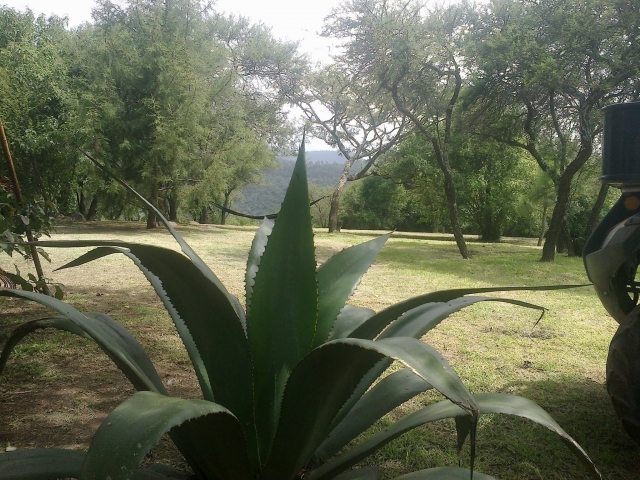  Know Tapalpa 