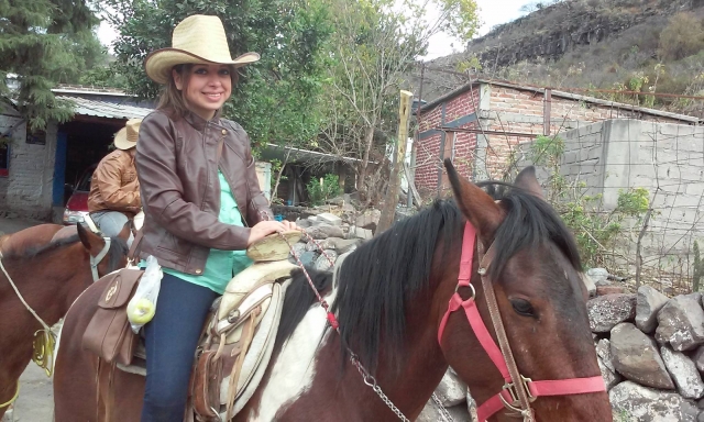  Choose the horse you want. 