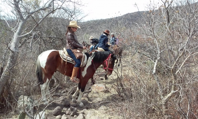 Besichtigung der Ranch 