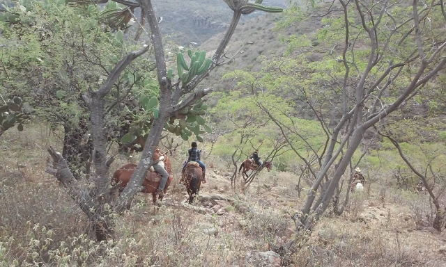  Guided route 