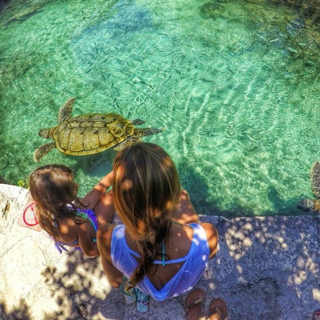  Visita alle tartarughe marine 