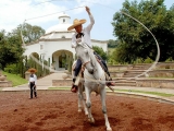 Experiência Lienzo Charro em Guadalajara 2,5 horas