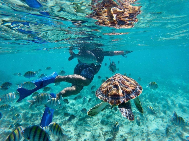  snorkel na praia 
