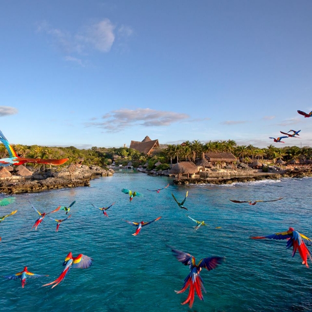  Vista Xcaret