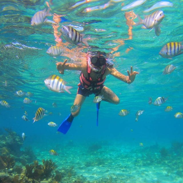  Pratiquez le snorkeling sur la plage 