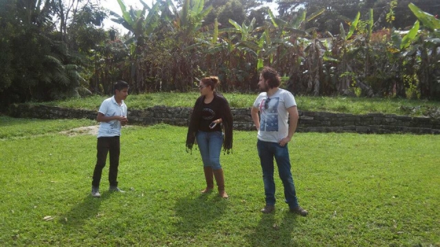  Guided tour 