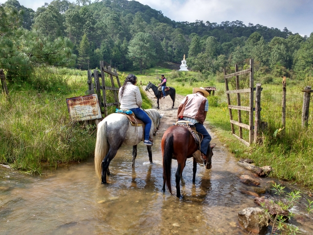  Tour zum Stupa 