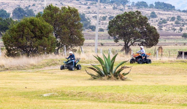 Pistas en apizaco