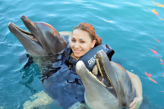  Swimming with dolphins in Zihuatanejo 