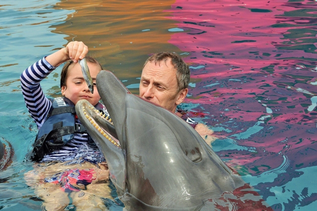  Feeding the dolphins 
