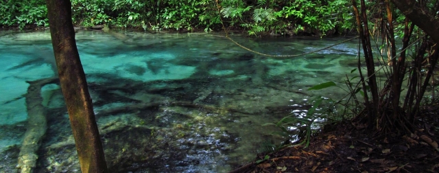 Los lagos de la zona