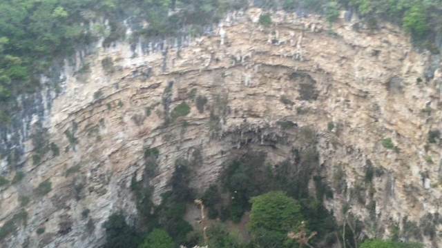 Conoce la fosa