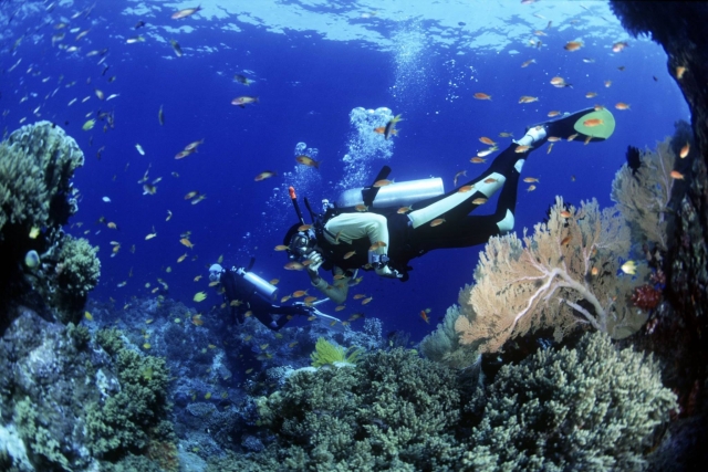  Deep diving 