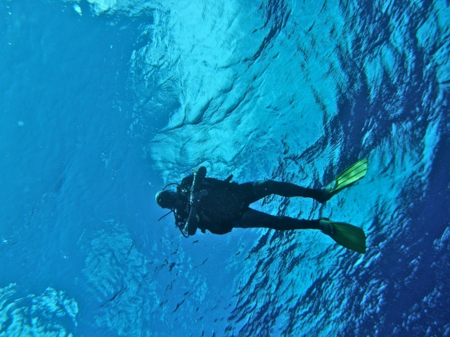  Perfecting the diving technique 