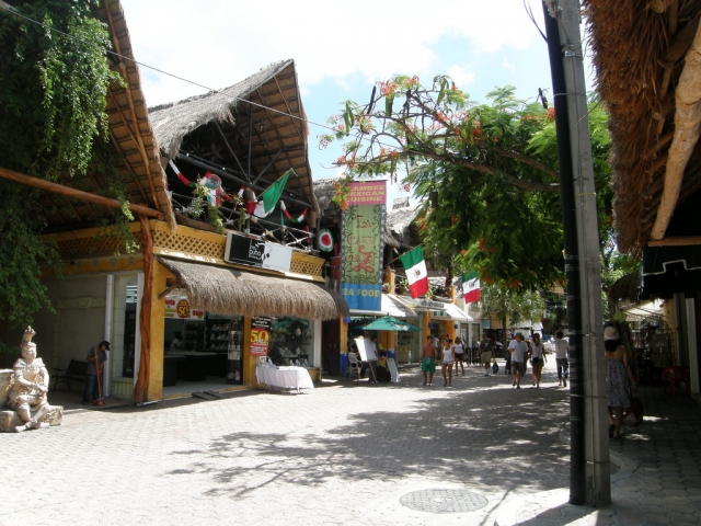 5ta avenida playa del carmen