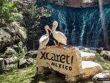 Tour a Chichen Itzá e Xcaret con trasporto 2 giorni