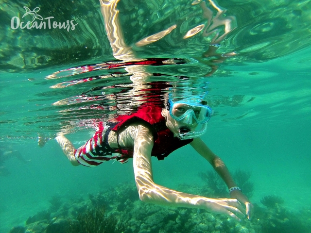 snorkel