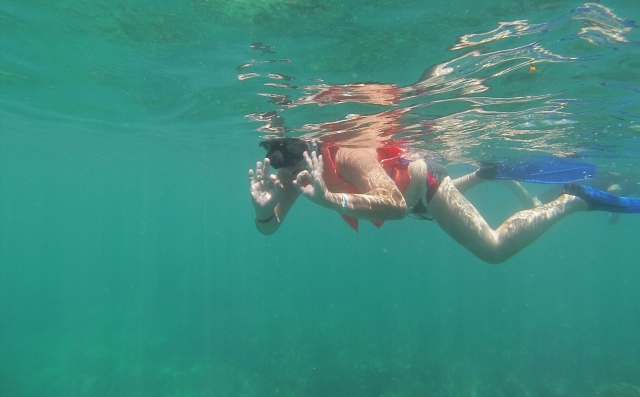  Nuota e fai snorkeling 