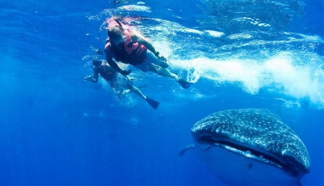  Schwimmen Sie ohne Angst 