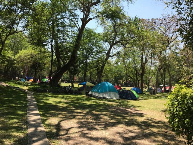  Bring your tent for camping