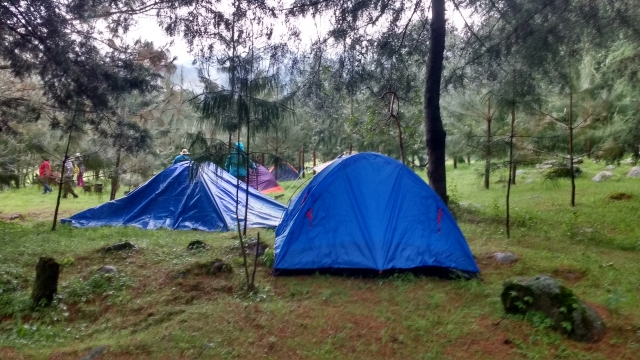 Camp nature 