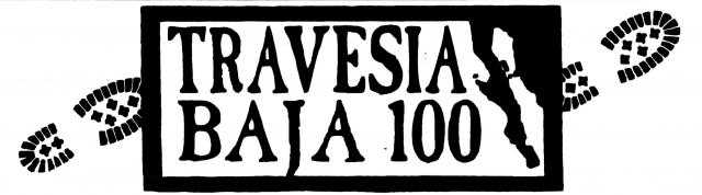  低穿越 100