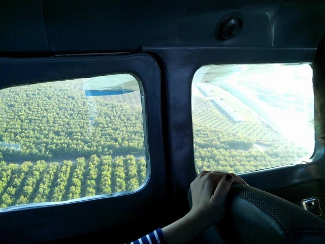 inside the plane 