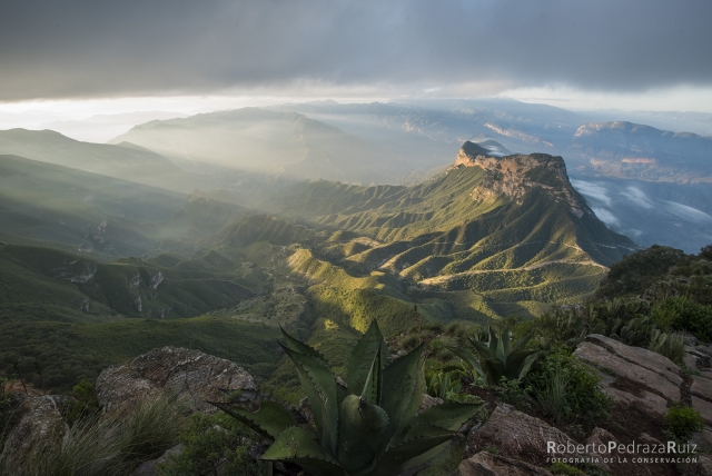  viewpoint in the mountains 