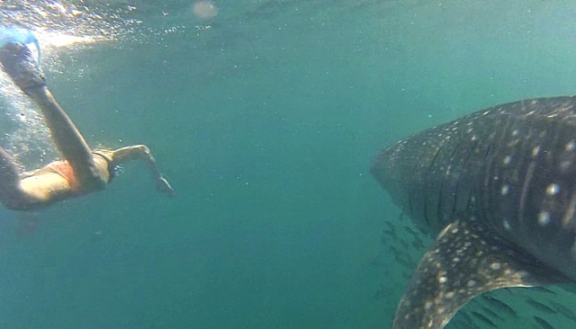  Incredible sighting 