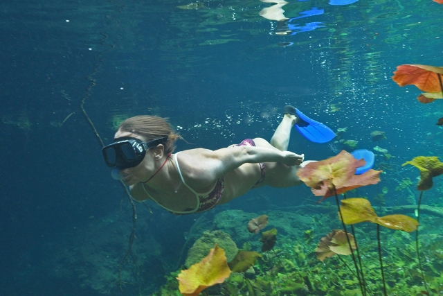  Schnorcheln in einer offenen Cenote 