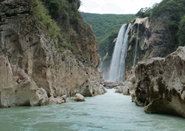  rio em frente à selva 