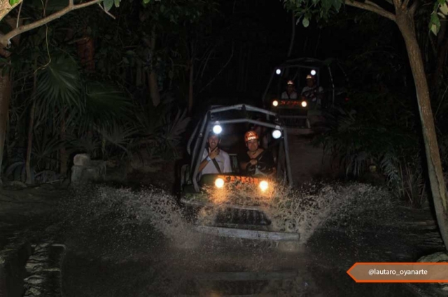 Amphibien en action 