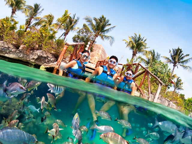 Practica Snorkel en una de las zonas más bonitas