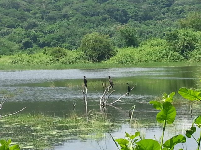  die Natur bewundern
