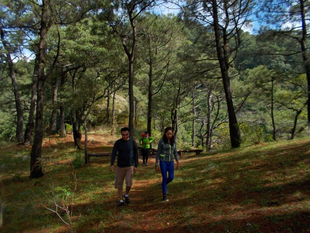  no caminho para nossa atividade 