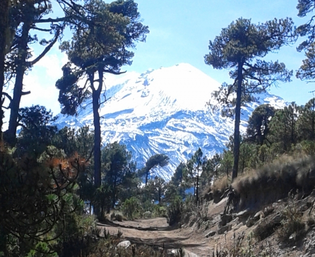  sentiers jusqu'au volcan 