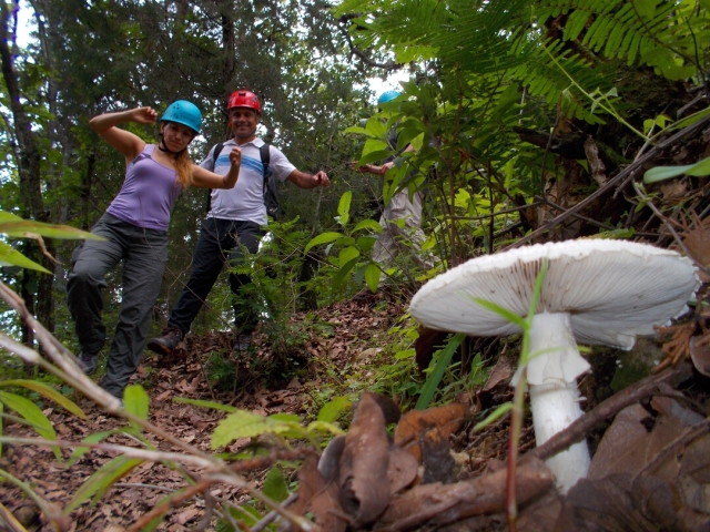  Going down the terrain 