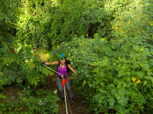  rappelling through the jungle 